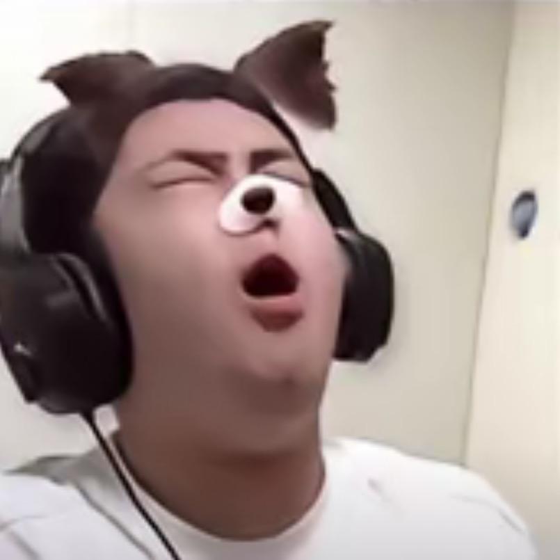 看海猪咪