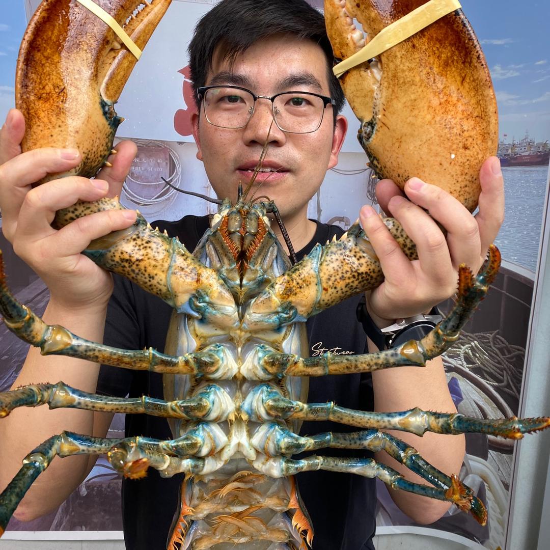 海珍泉（海鲜大礼包~面包蟹）