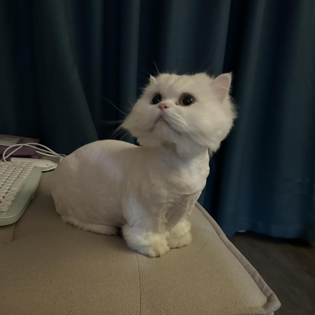 有一个月亮