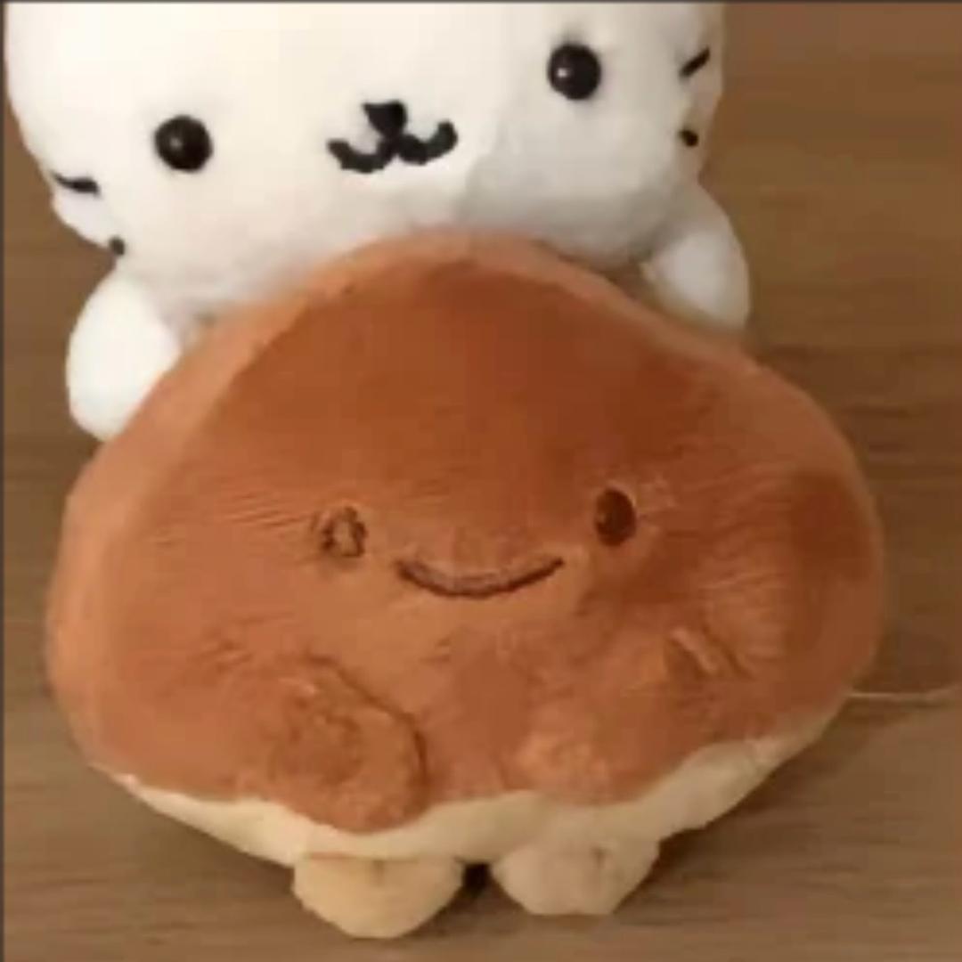 二十三🫐
