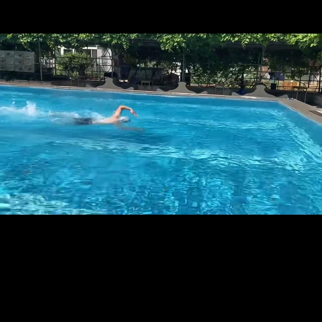 牛顿弟一定绿