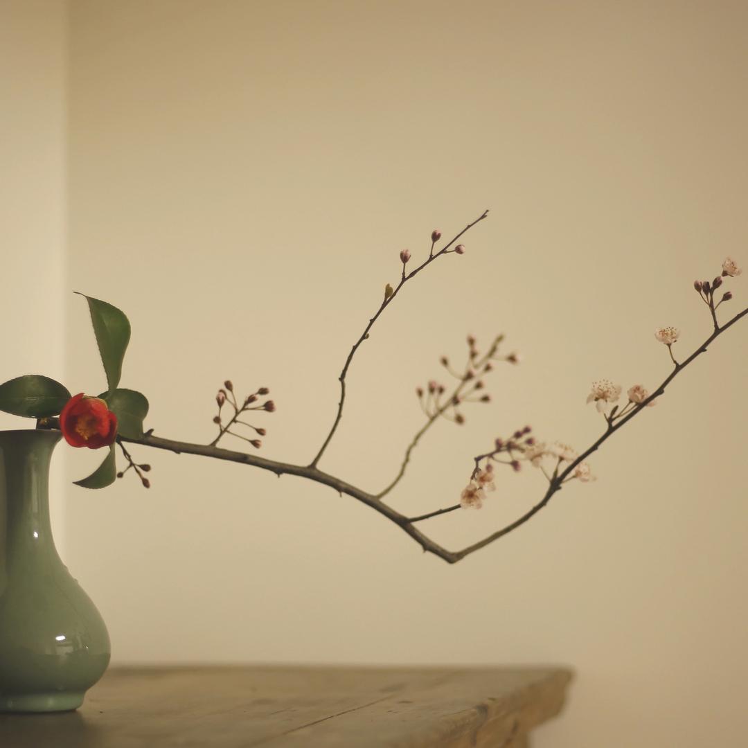 爱优品