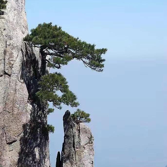 吃喝自由领航员