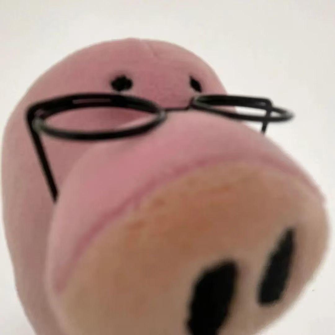 z小怡.