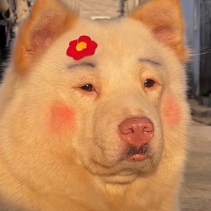 无言无语🤠头像