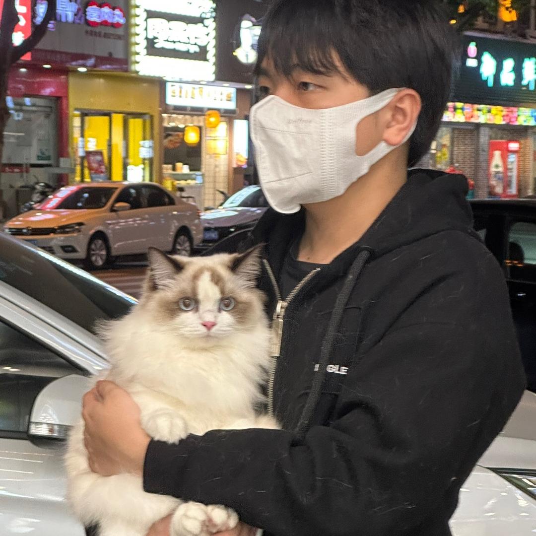 布偶大王小柒