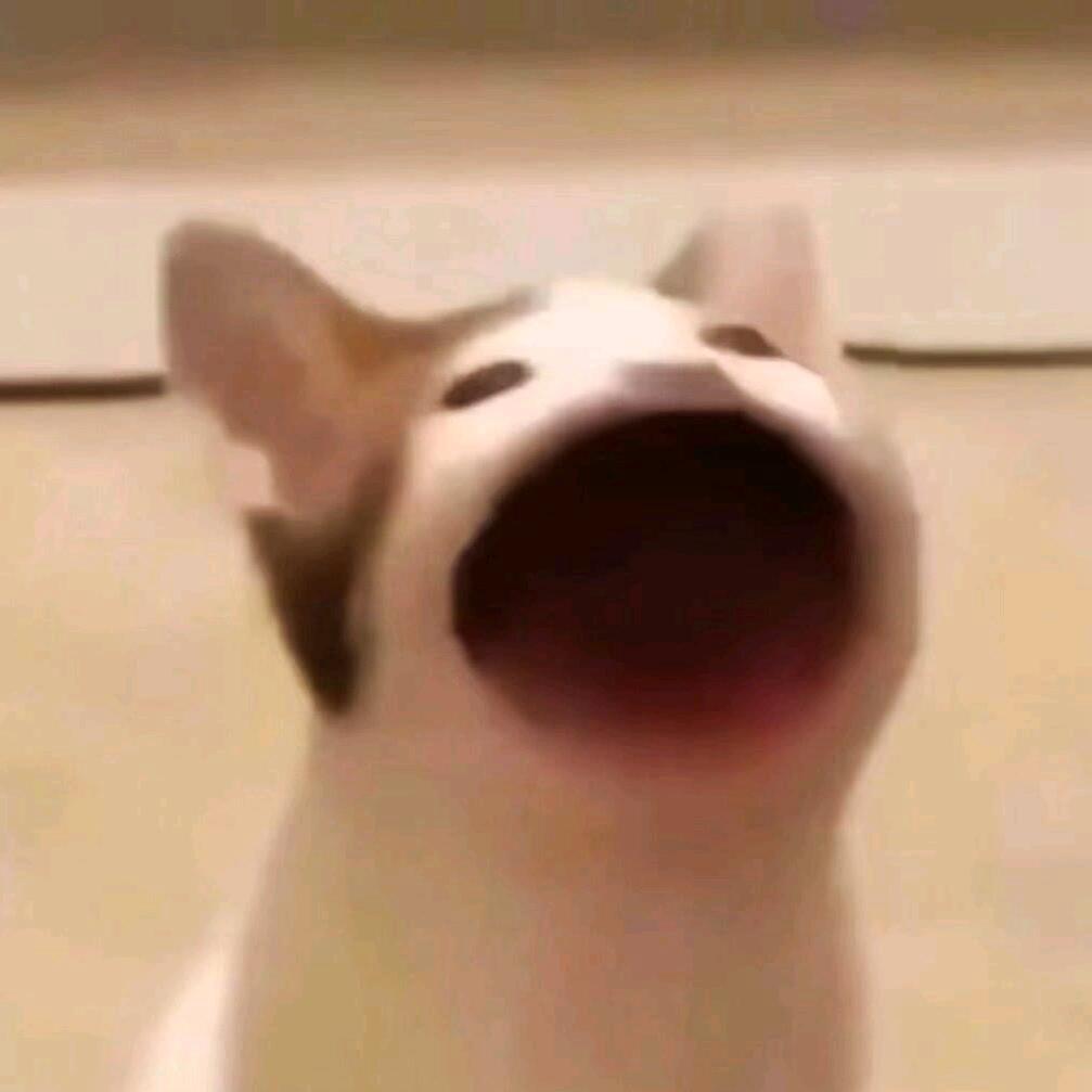 陆飞飞
