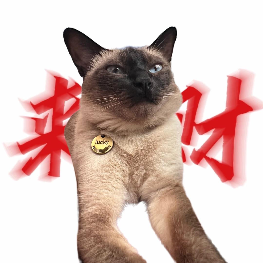 悲伤版清纯老婆v🩰