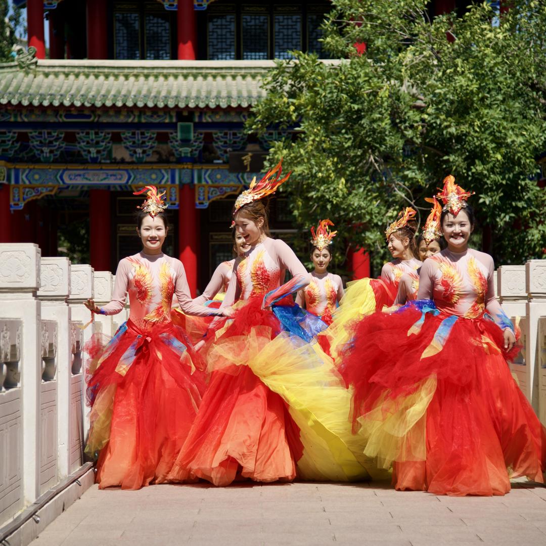 新疆拾舞艺术培训官方号