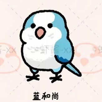 权威小六