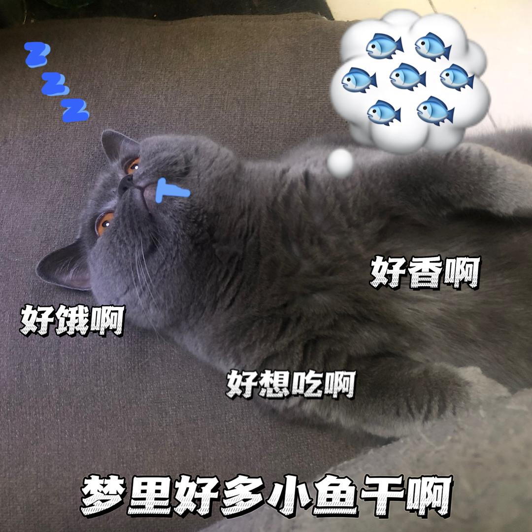 大卡blue