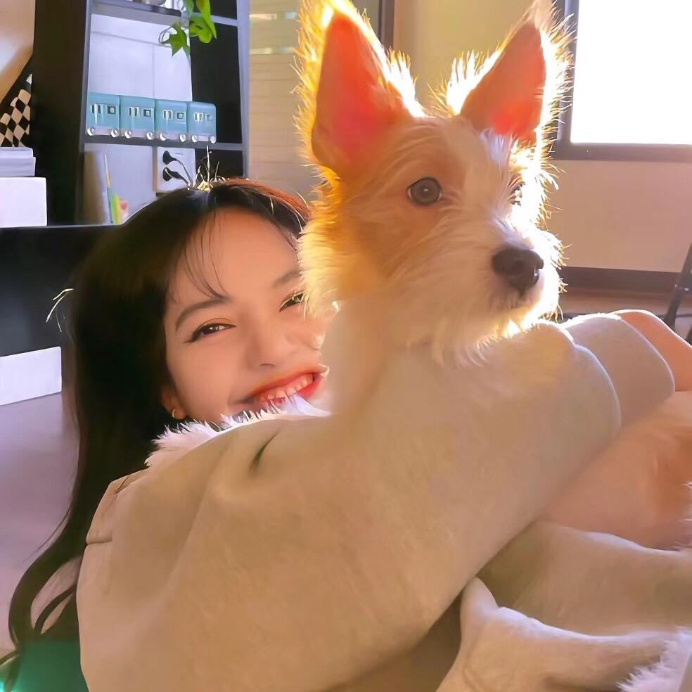 宁波小元宝看房