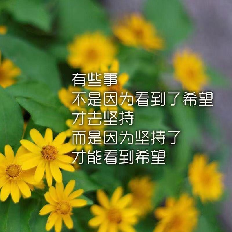 努家