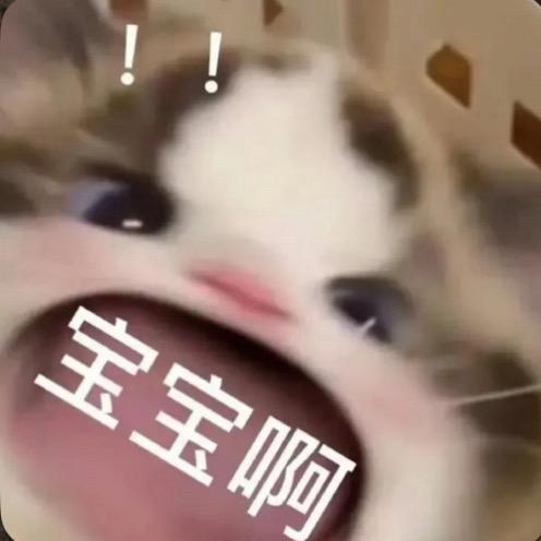 在睡亿分钟😪