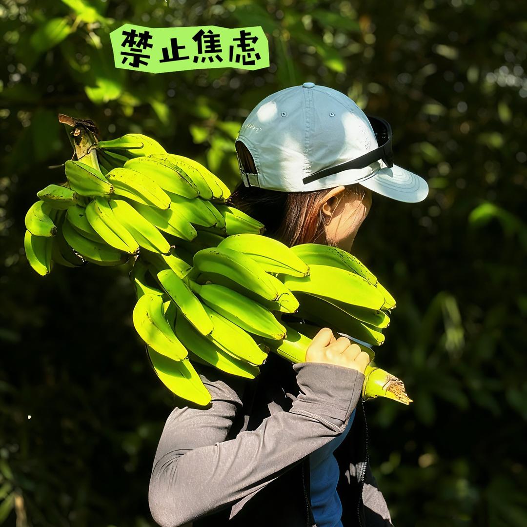 李同学是你同学