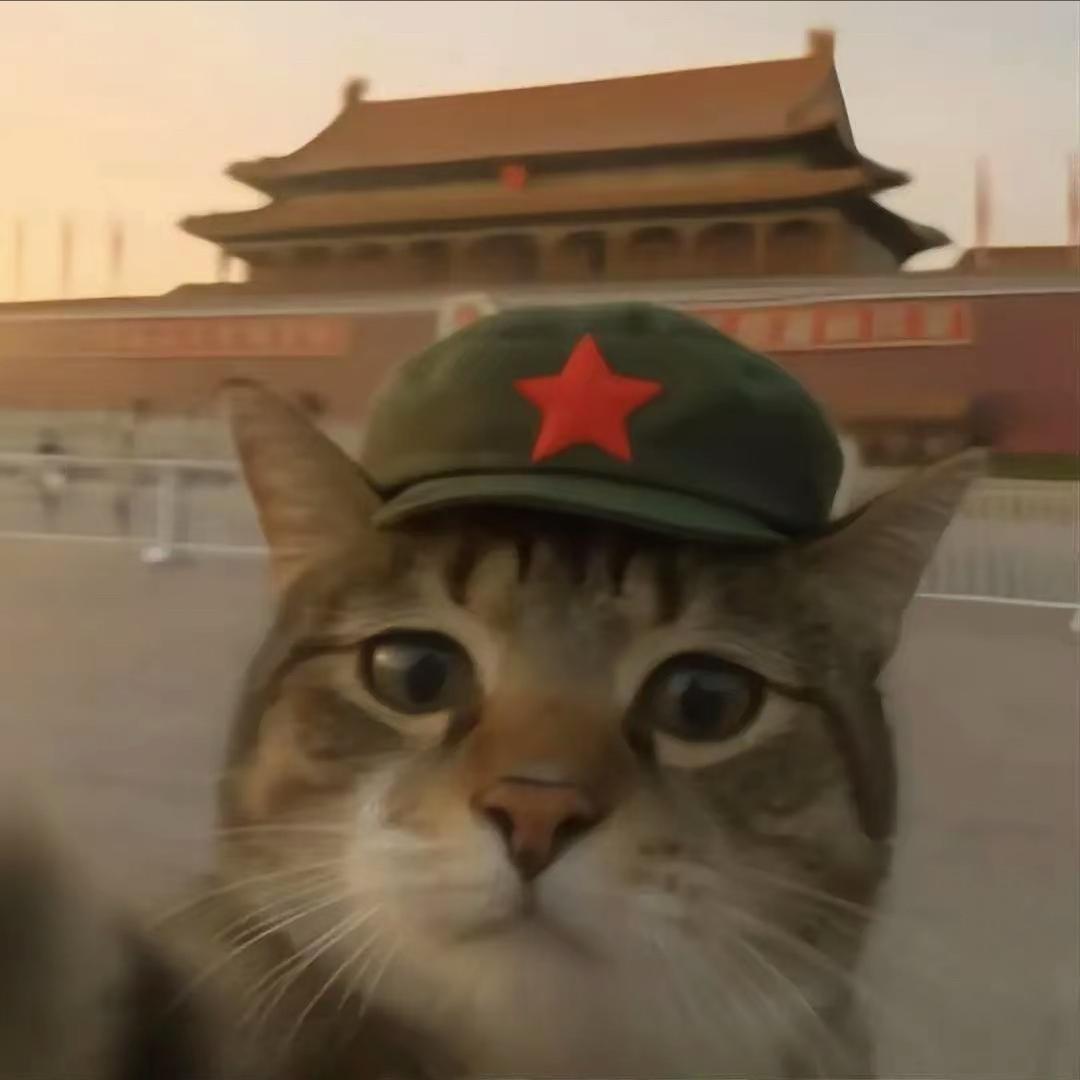 汤盆