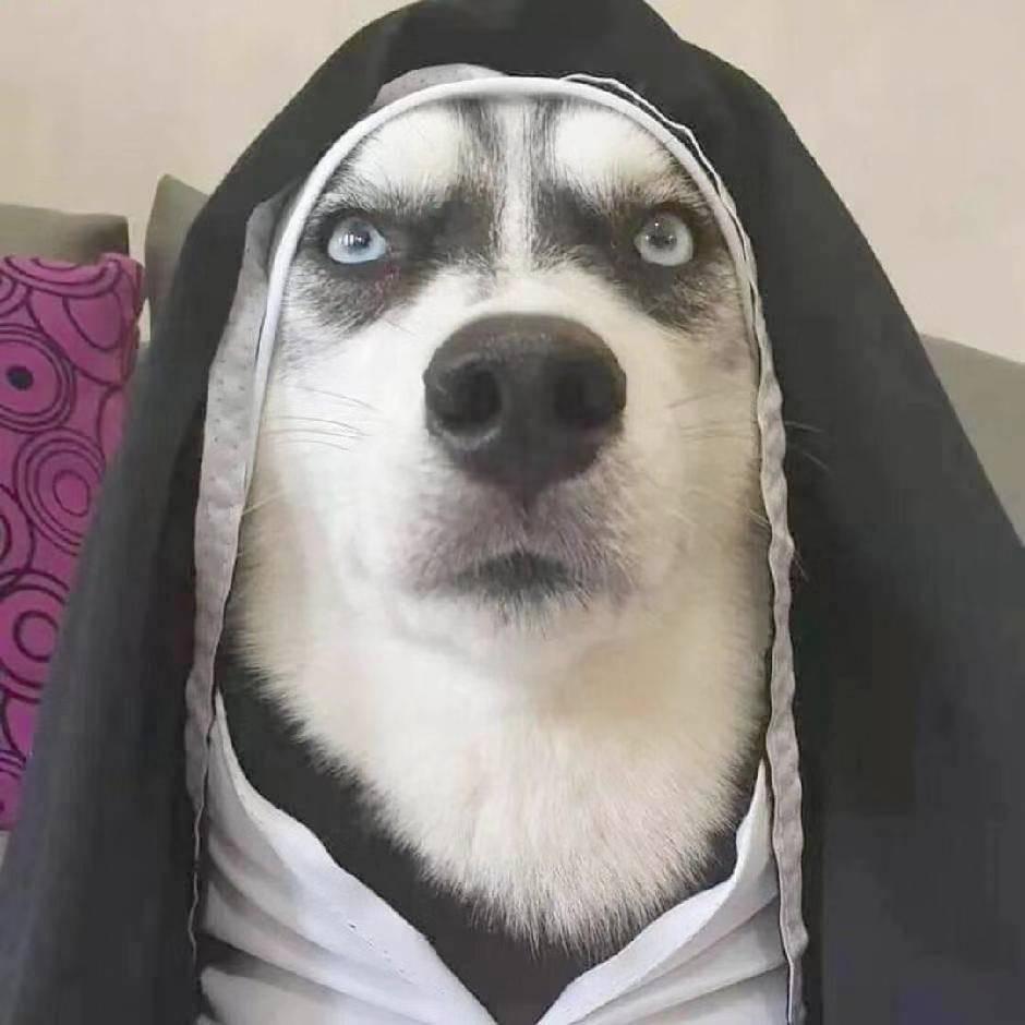 忻瑜