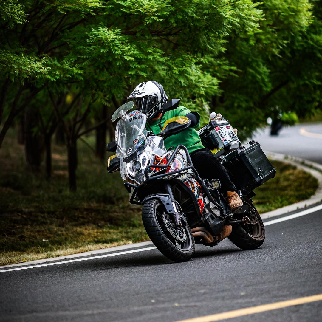 宋秋野