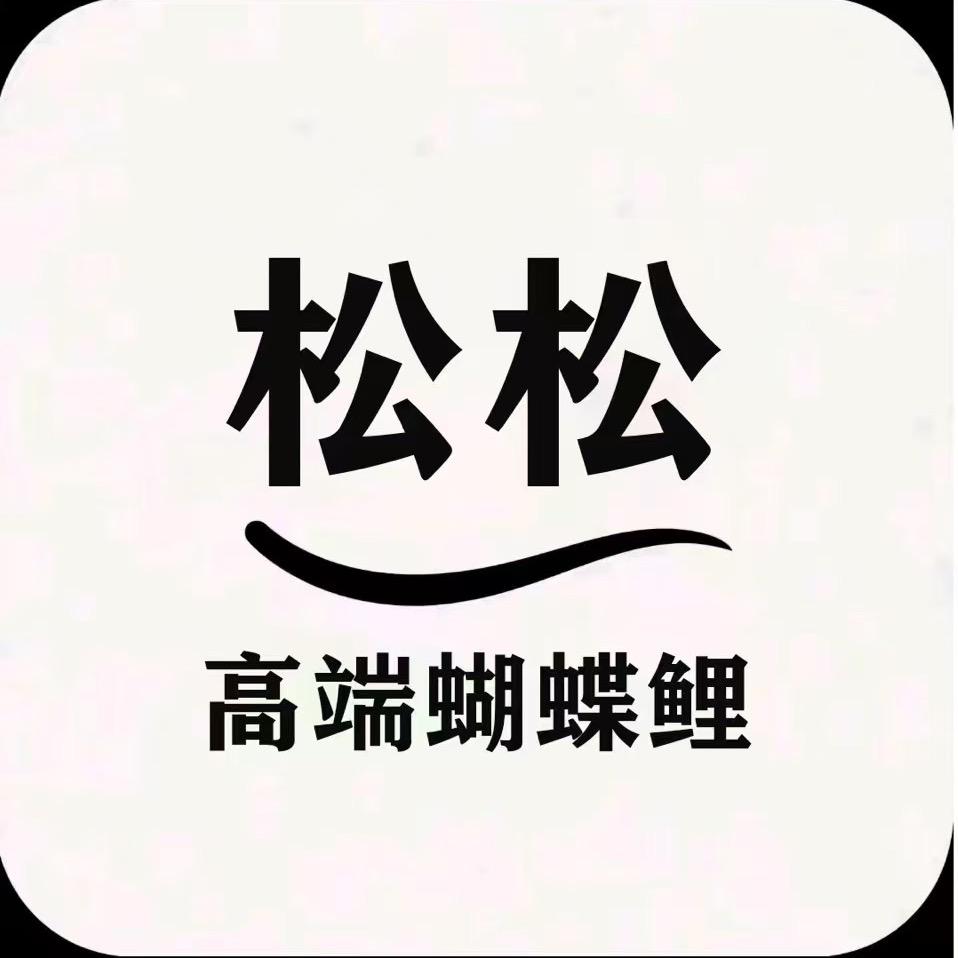 松松蝴蝶鲤