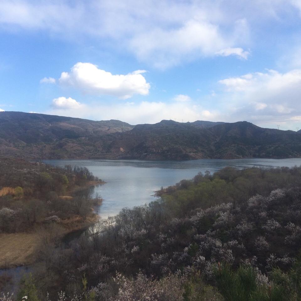 小裤衩