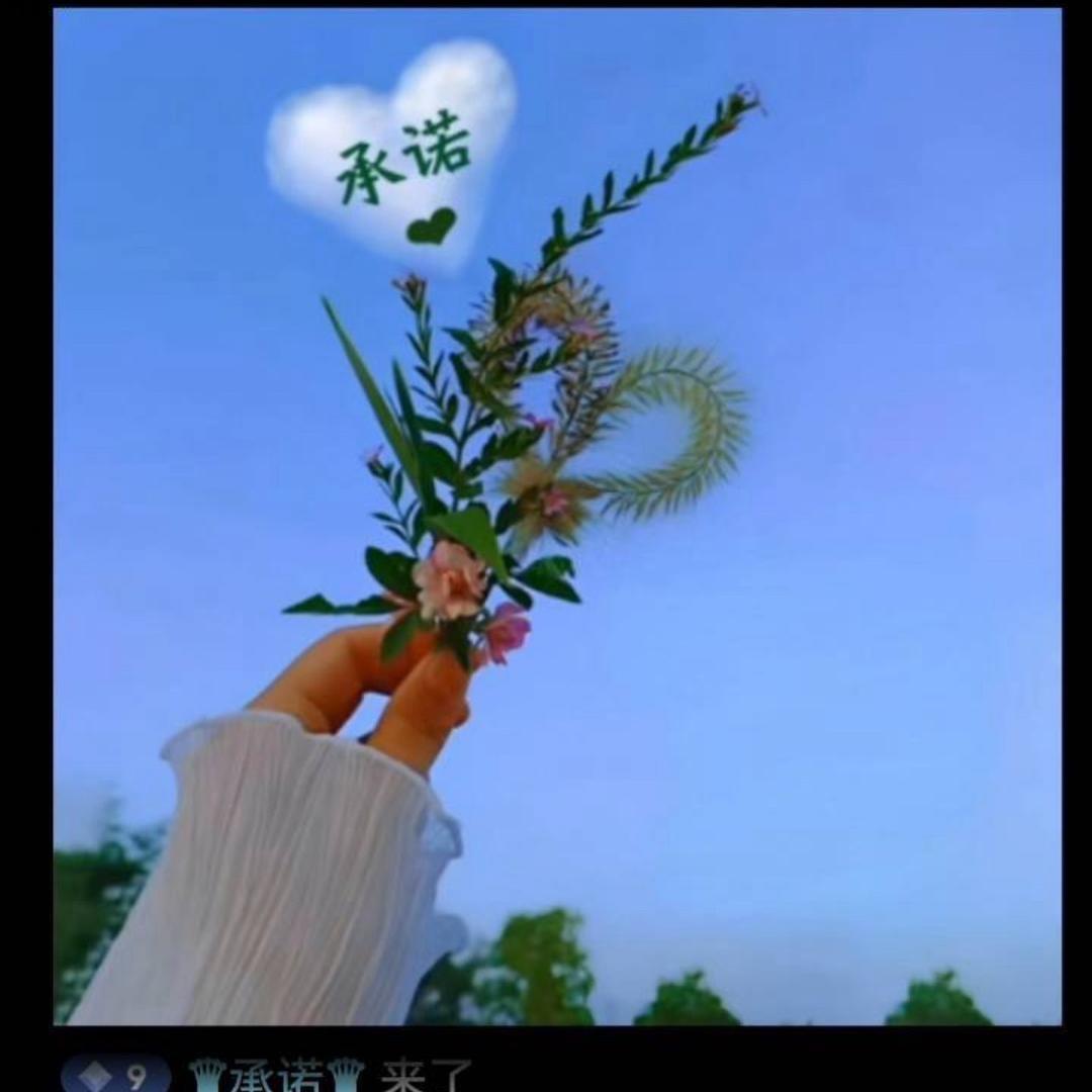 承诺