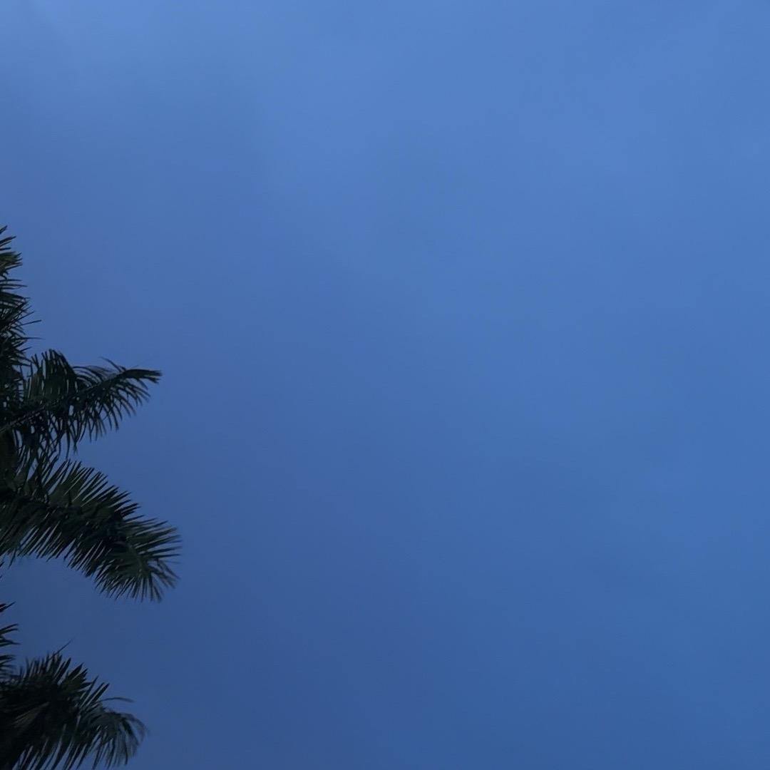 ☆.。