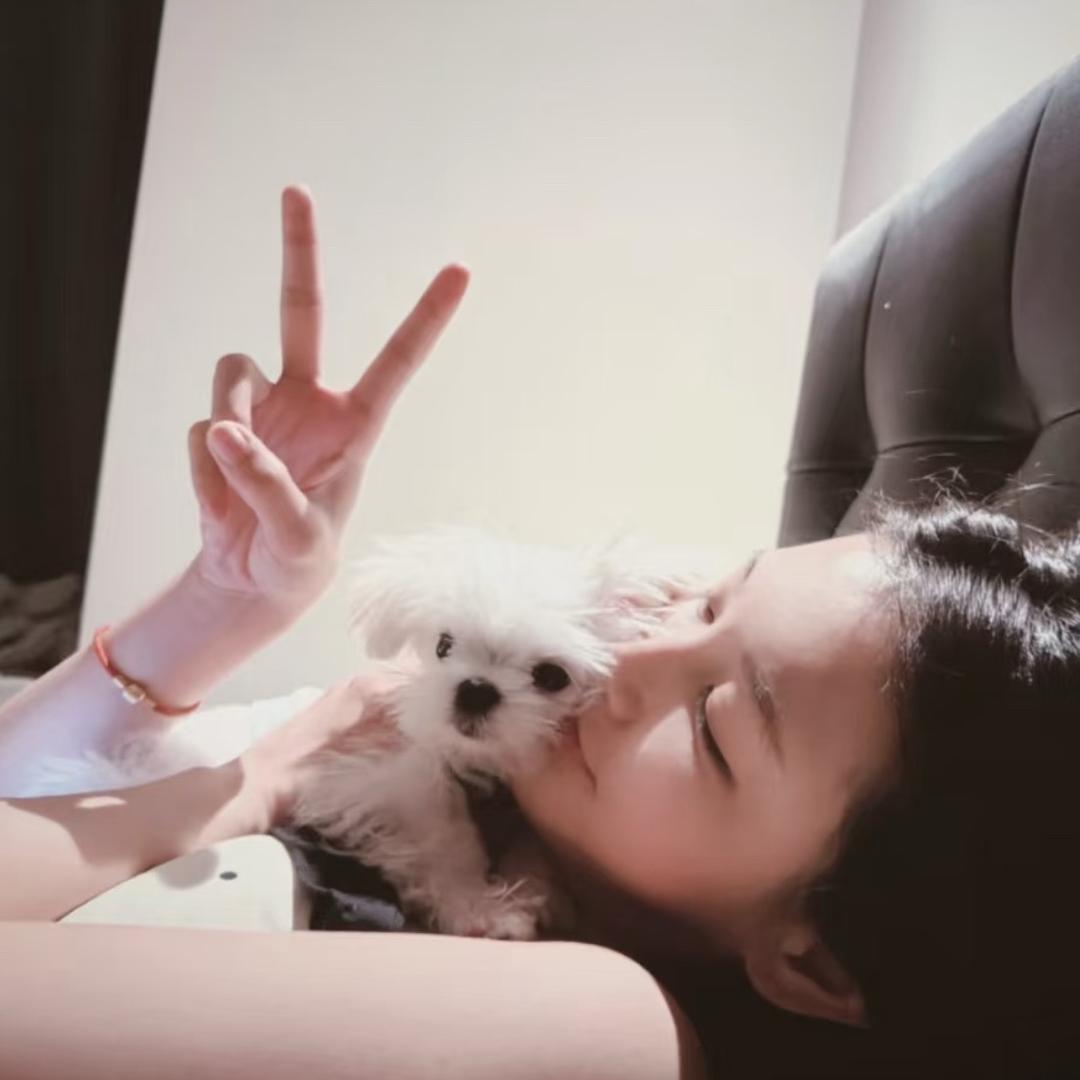 菲律宾特产丸犊子