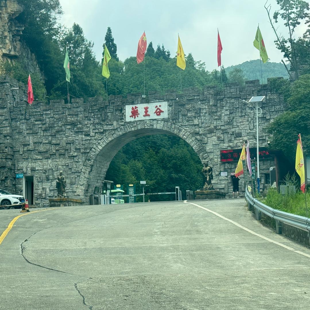 雾漫山茶