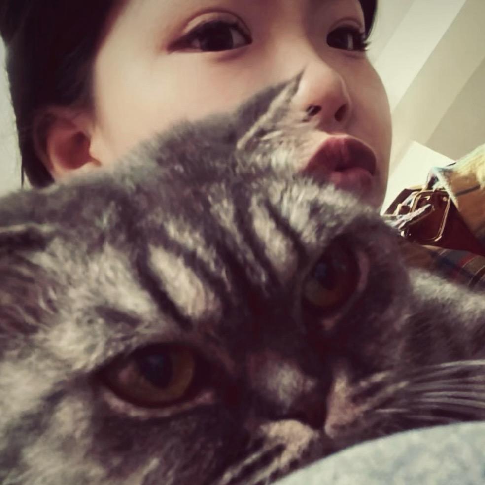 ·丹ᵃ💤            🦔