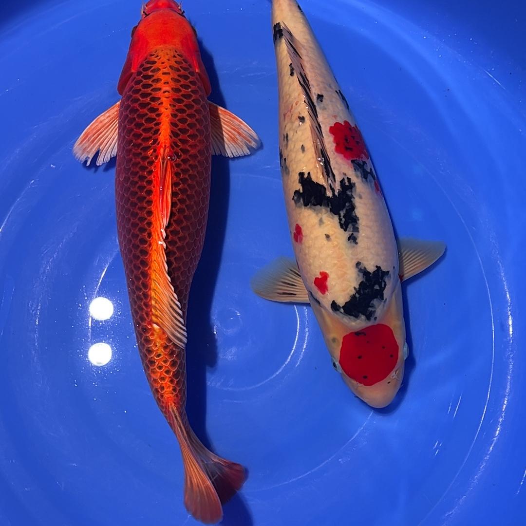 郝广军渔业生活坊