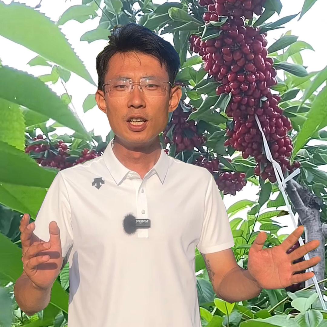 果颜出色🍒李樱桃🍒