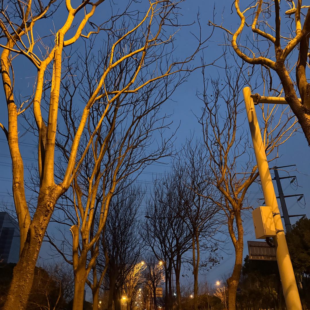 又逢君