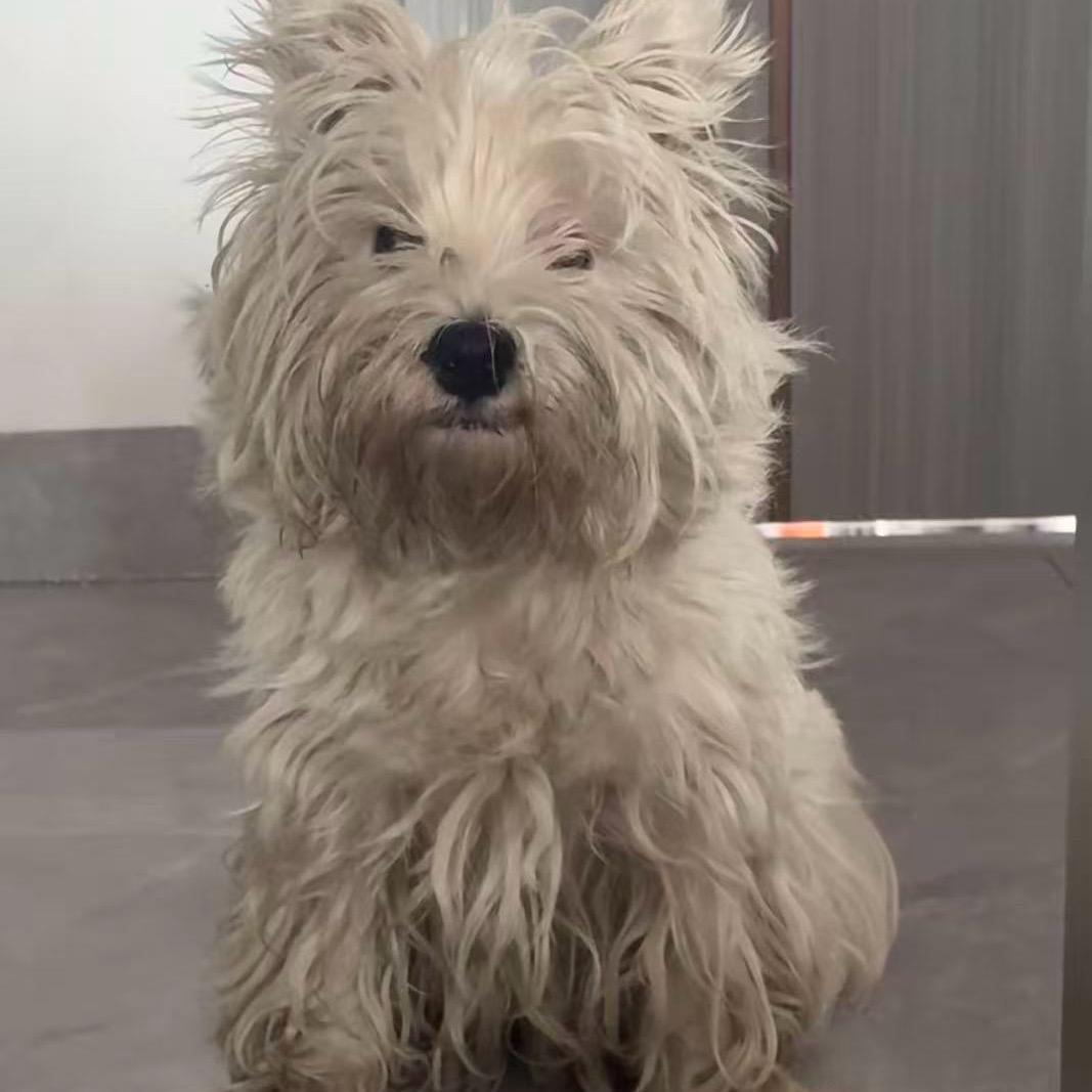 我就吃点儿怎么了