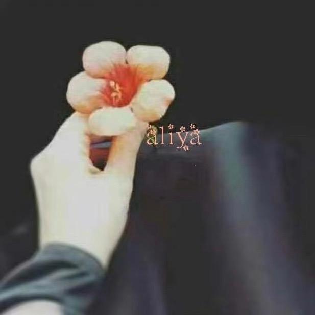 ᥫᩣ  ئالىيے