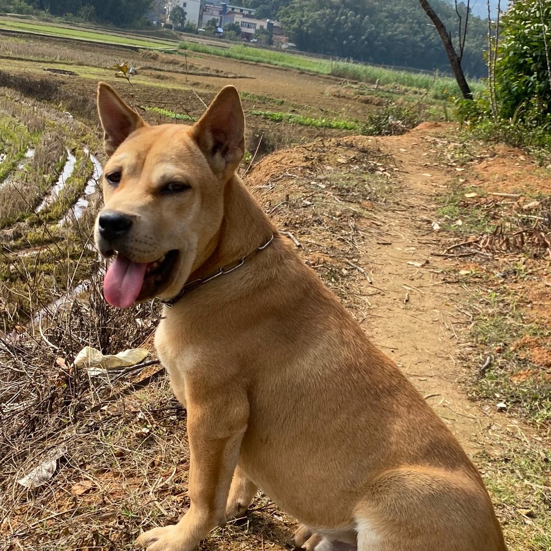 青塘聚友汇钓鱼场