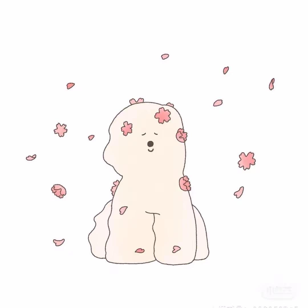 韦雪❄️