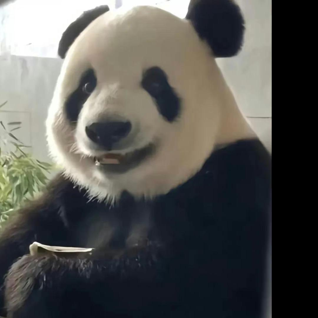 小🍊子爱生活