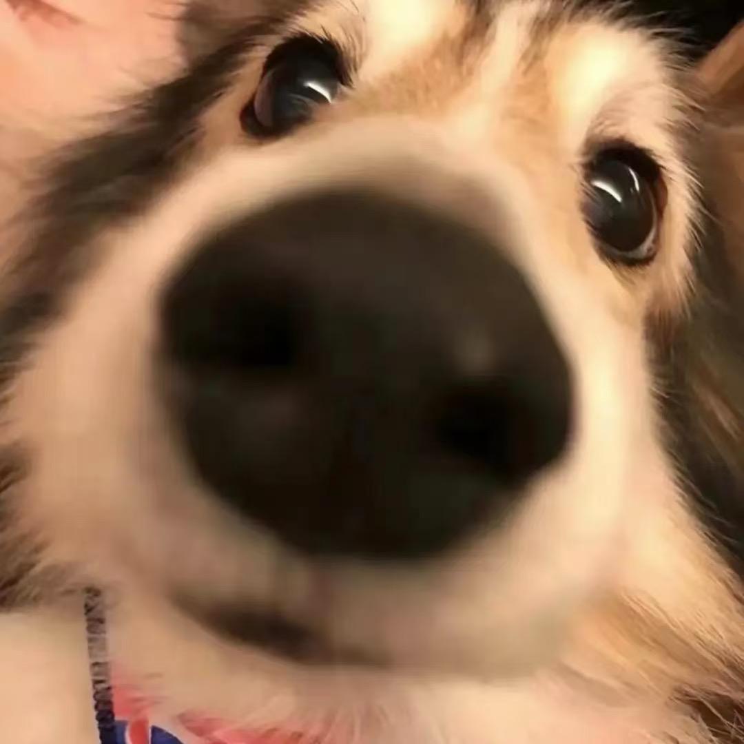 Ya