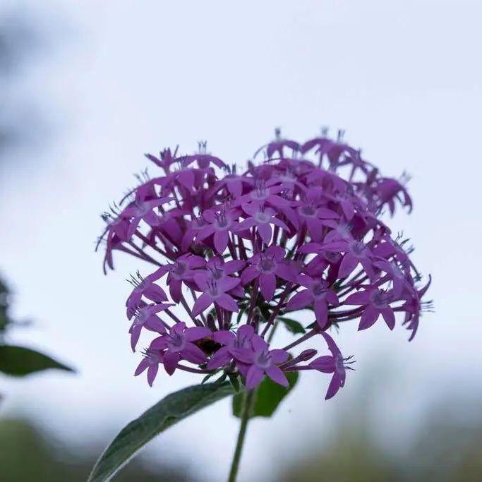 80后来自湖北十堰！