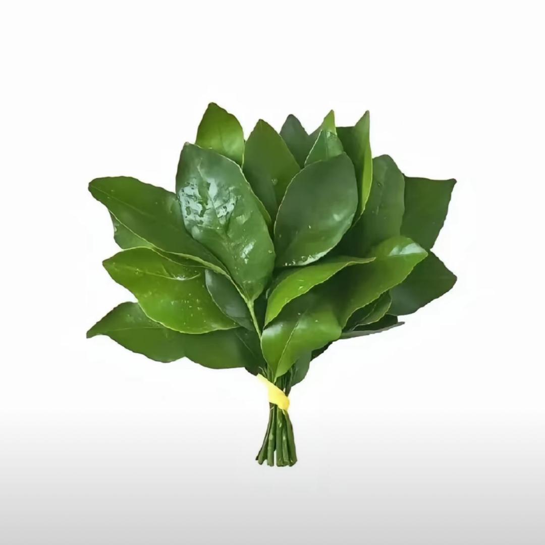 金刚芭比.