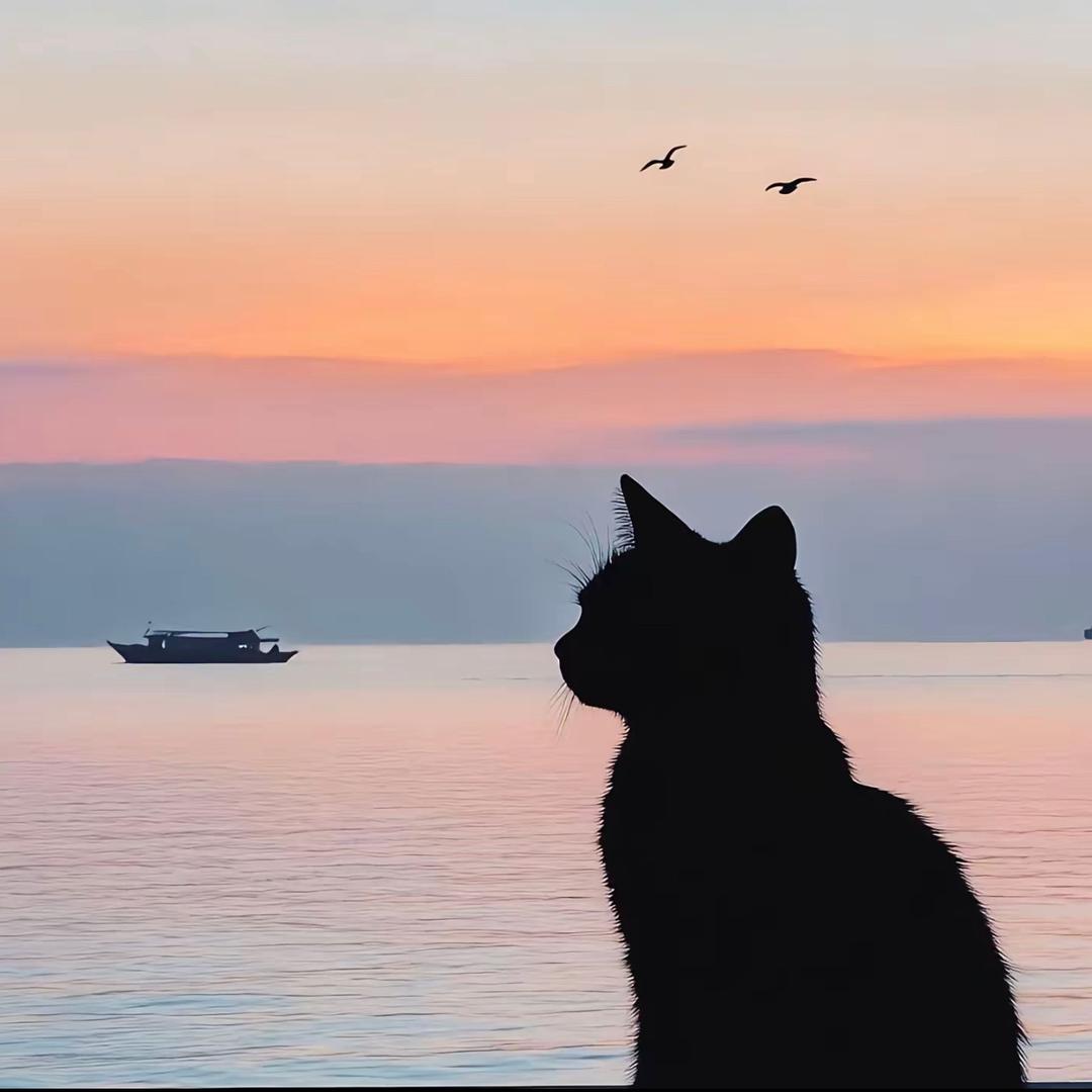 🌈 多瑞米发嗦