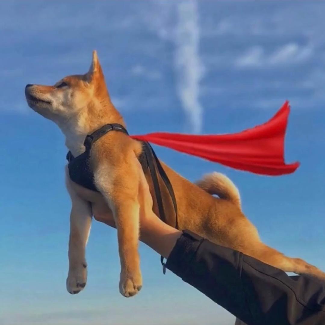 不介意你晚来！、🌟