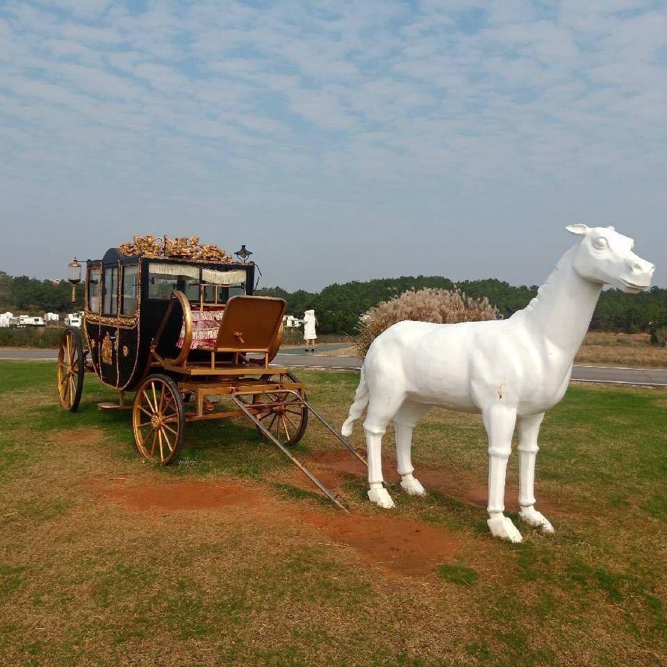 AAAAA级斌哥保险