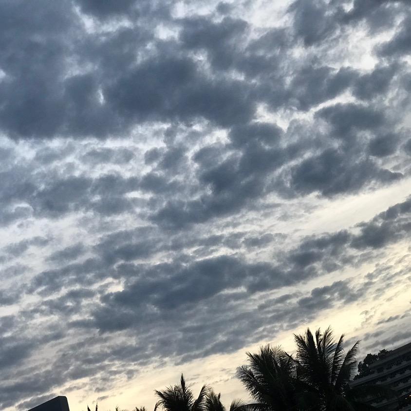 洋了个洋吖