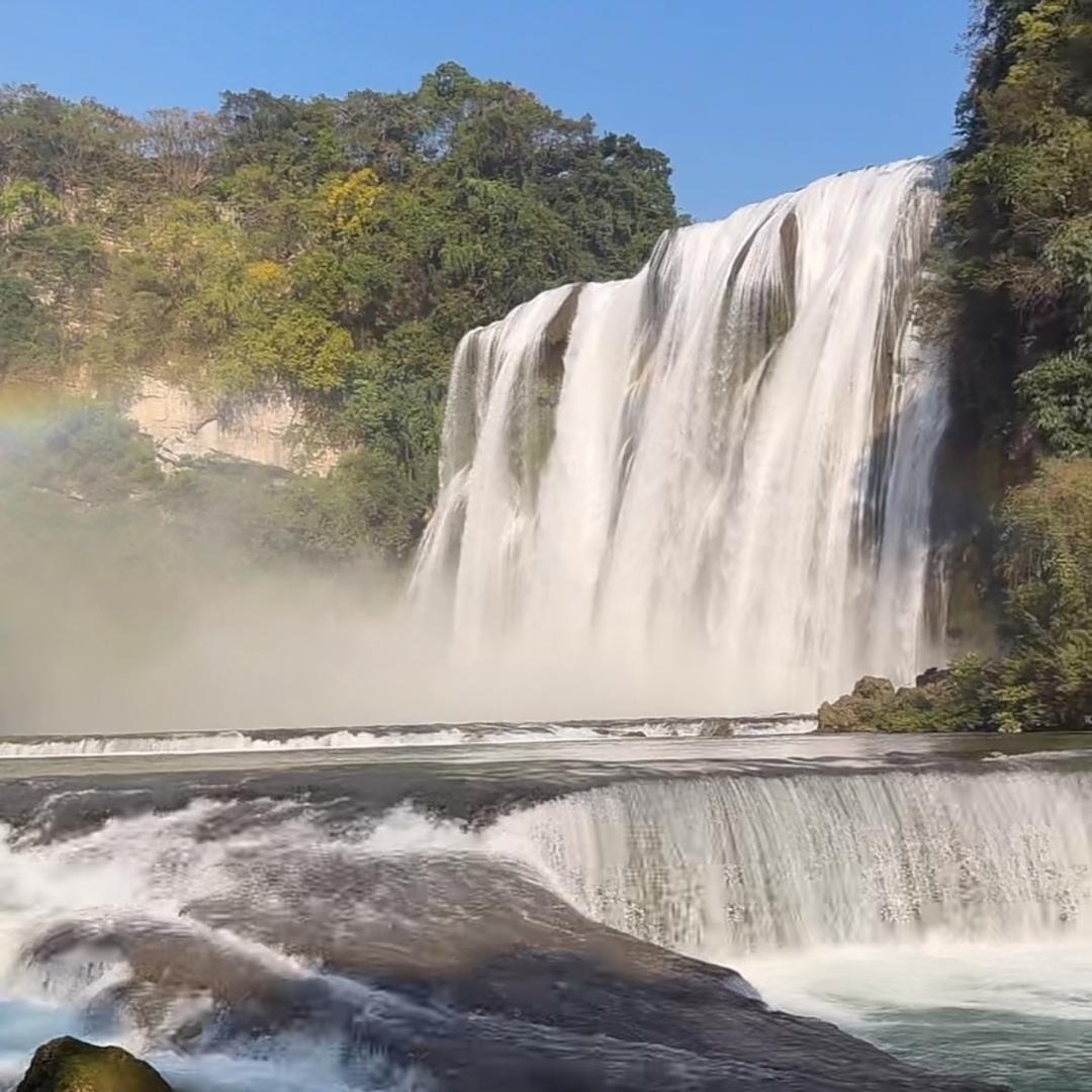 妙果仁心🌊²⁸¹