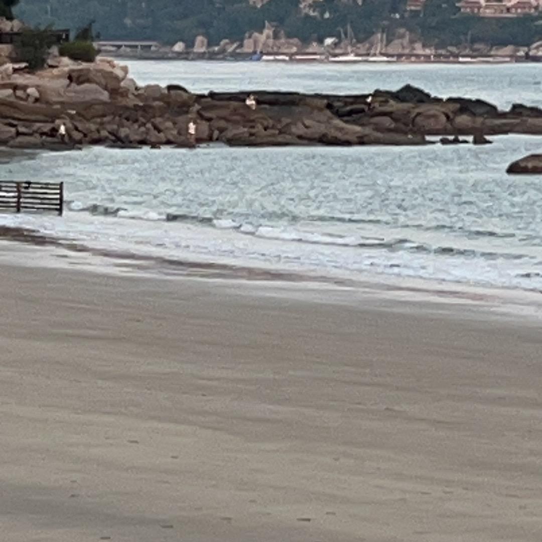 苍海