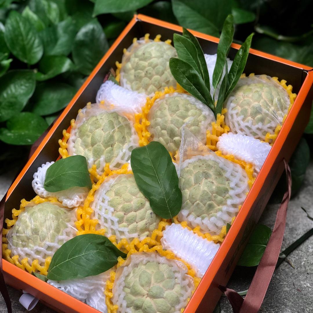 茂叔叔（樟林林檎）