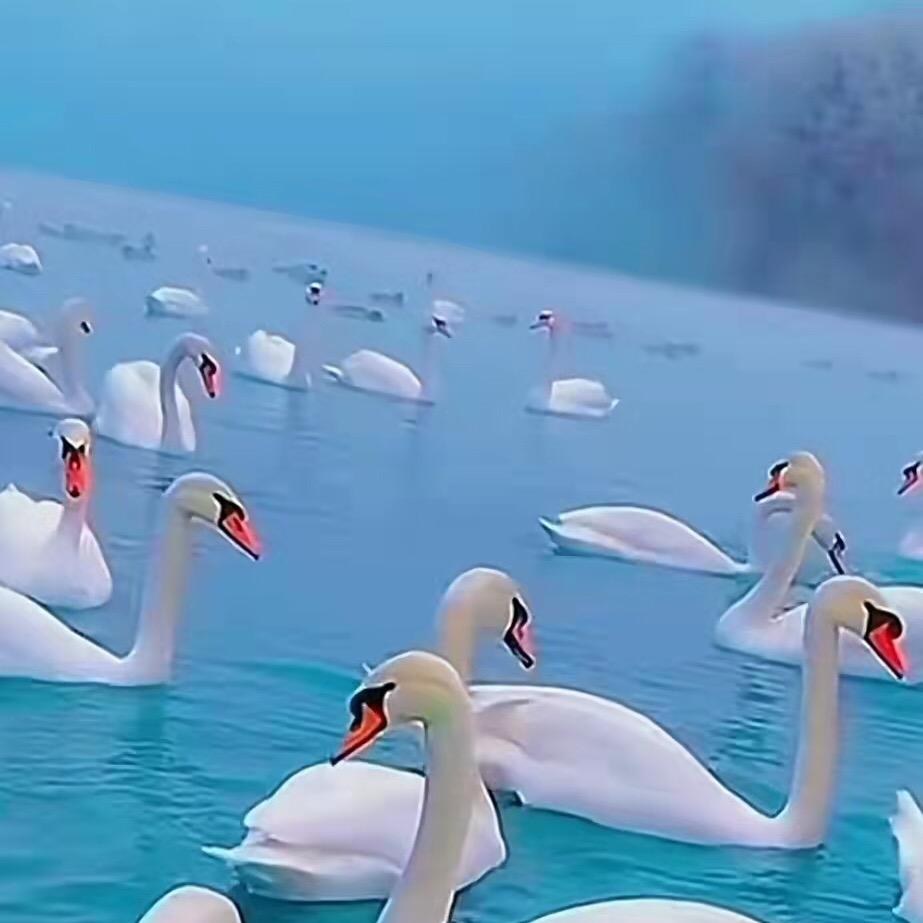 百科生活
