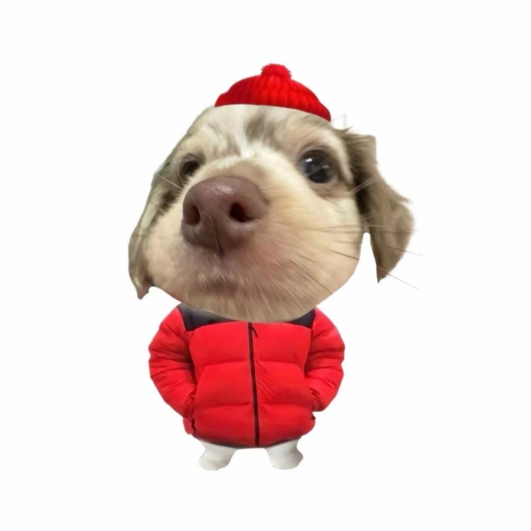 不想当大王的大王.