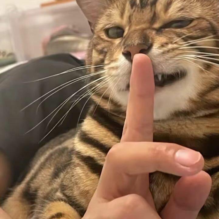 Gst小宁